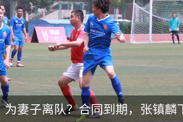 为妻子离队？合同到期，张镇麟下家4选1，广东2队有机会