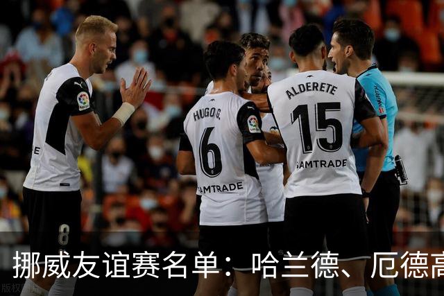 挪威友谊赛名单：哈兰德、厄德高领衔